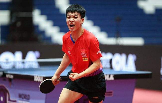 家们展开了 家们展开了