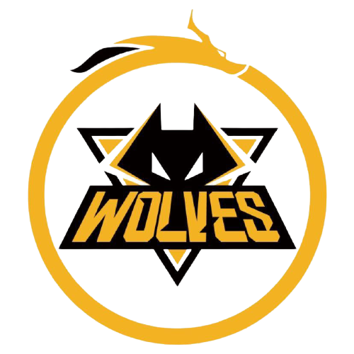 无疑是一场 无疑是一场