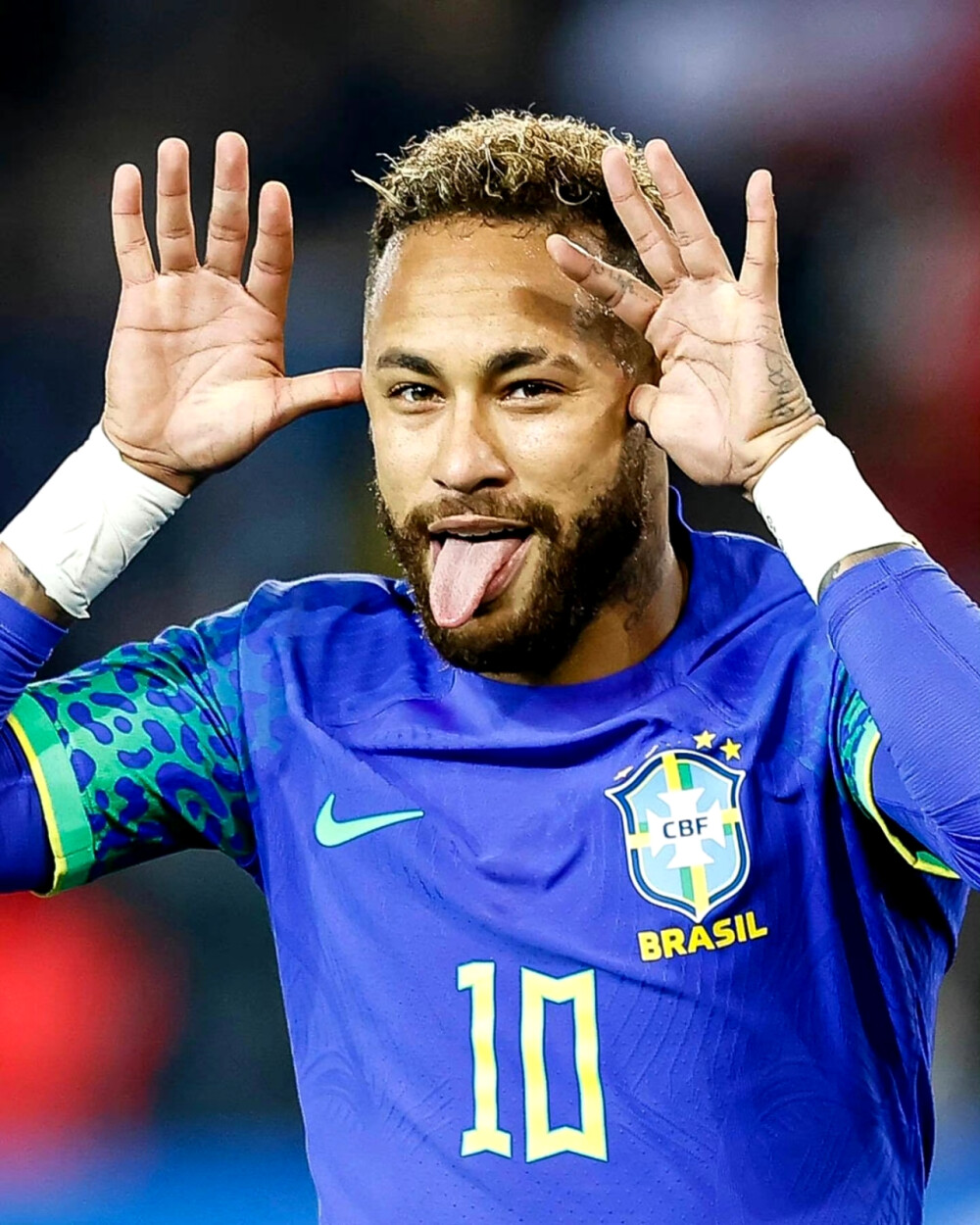 该组织旨在 该组织旨在