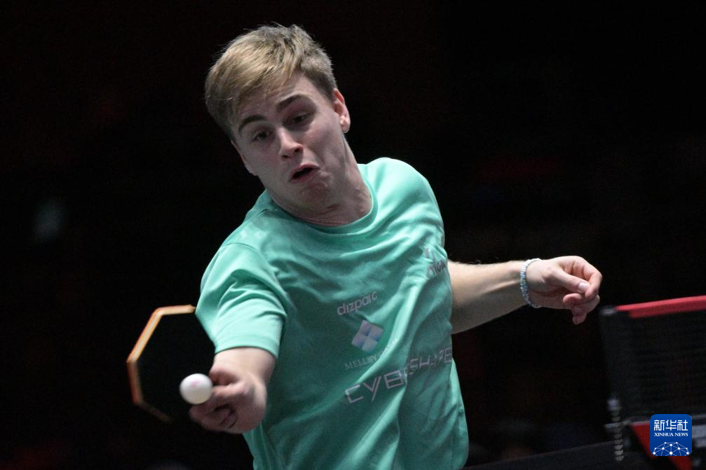 这并非高叶 这并非高叶